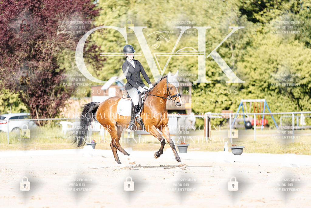 CK900020 | Turnierfotografie Pferdefotografie Trier Rheinland-Pfalz Pferdesport Reitsport Tierfotografie Sportfotografie Pferdevideo Pferdevideografie Equestrianvideography equestrianphotography  - Realisiert mit Pictrs.com
