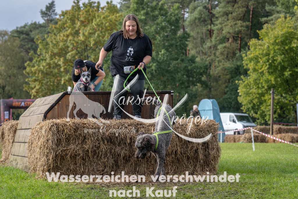 1417-94616 | kk-dogfotos