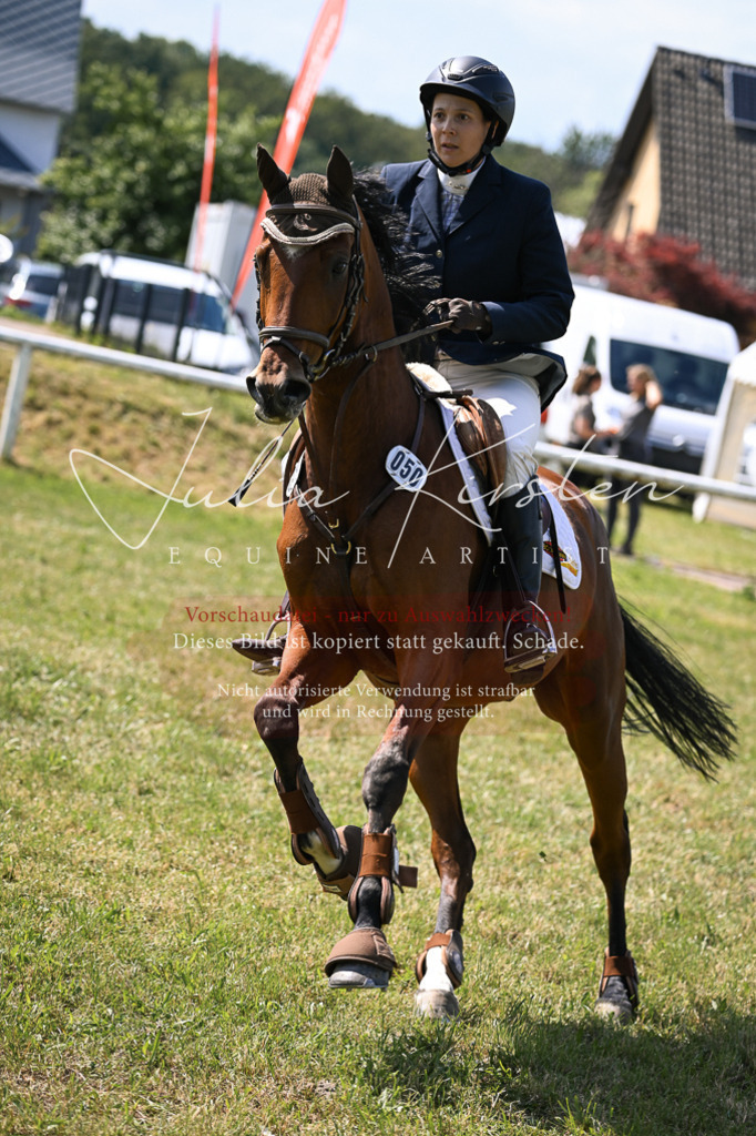 DSC_0437 | Pferde- und Turnierfotografie in Westsachsen. Pferdeportraits, Auftragszeichnungen und intuitive Kunst.