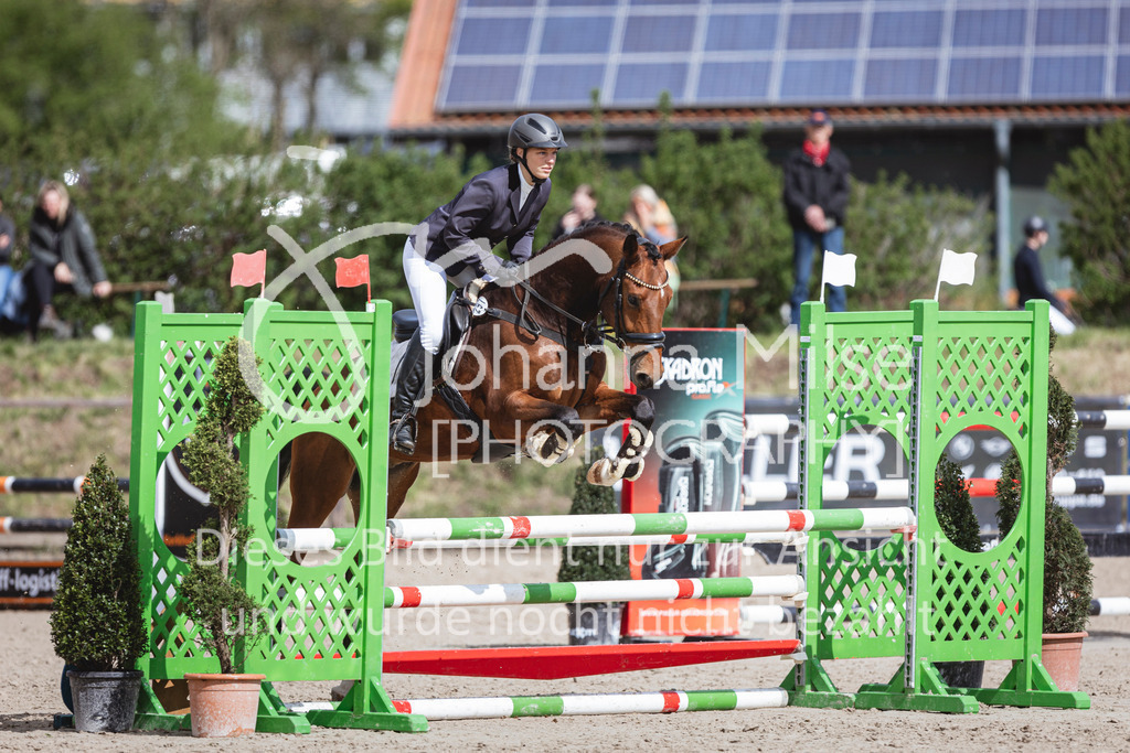 250419_Frühlingsfest_A-Stil1-484 | Deine schönsten Turniermomente als professionelle Fotos! Entdecke hochwertige Pferdesport-Fotografie im Online-Shop. Jetzt Fotos finden & bestellen!