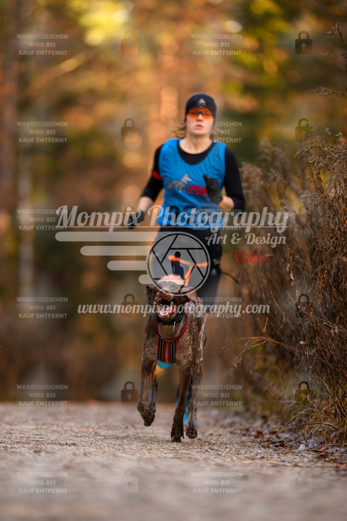 MompixPhotography_DM_AKDM_SO_2025_-43 | PayLife
