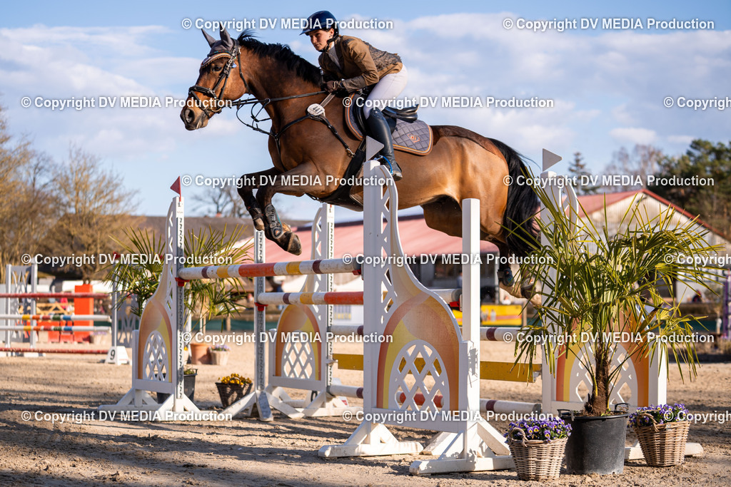 Kranichstein Tag 2-1162 | dv-media-shop - Realisiert mit Pictrs.com