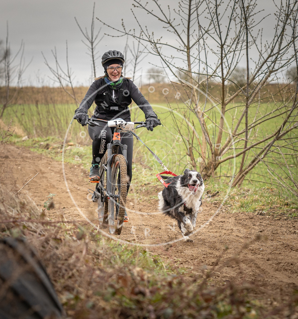 DV3A1120 | Hundefotografie, Tierfotograf, Pfotenfotografie, Fotoshooting Hund, Hunde Portrait, Hundesport, Hundeportraits, Heideshooting, Hunde, Sportfotograf, Hundefotograf, Turnierhundsport, THS,  - Realisiert mit Pictrs.com