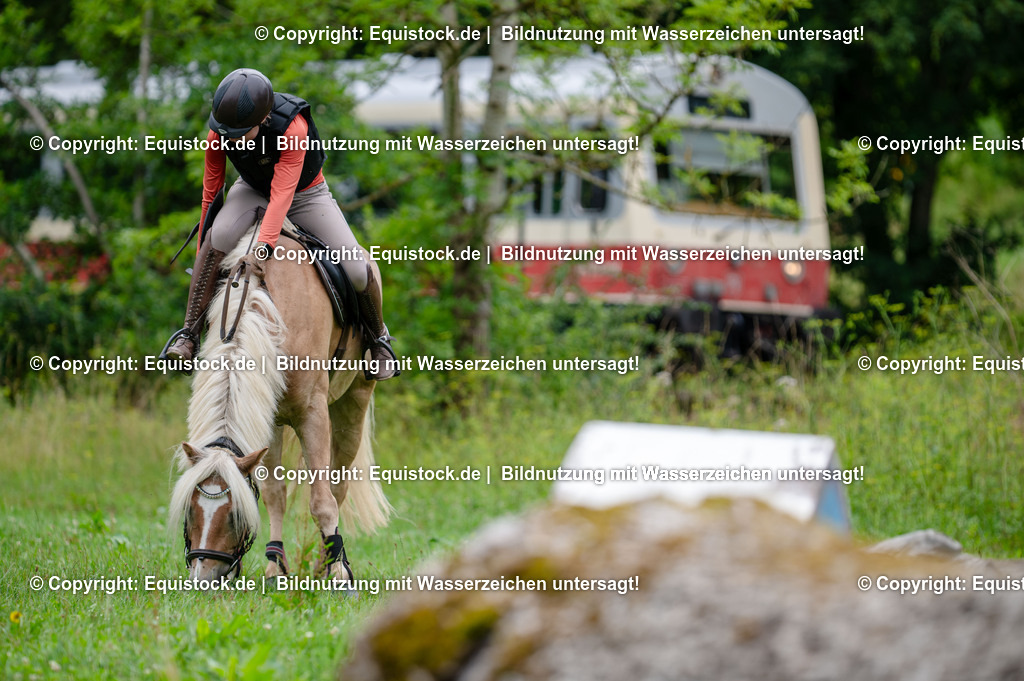 20250725_Vielseitigkeitslehrgang-Marbach_0308 | Foto: Thomas Hartig