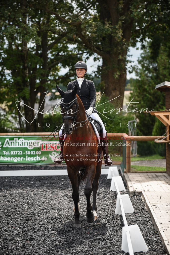 DSC_4849 | Pferde- und Turnierfotografie in Westsachsen. Pferdeportraits, Auftragszeichnungen und intuitive Kunst.