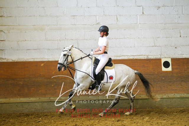 DKP43964 | Turniersportfotografie; Pferdefotografie; Dressurfotografie