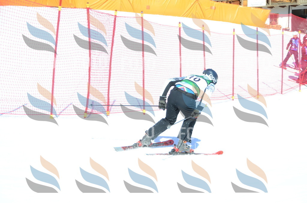 C6737 | holidayphoto