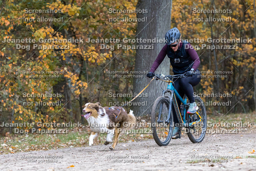 Dog Paparazzi - SD CaniX Championship 2025-590 | Dog Paparazzi Jeanette Grottendiek Fotografie & Videografie - Realisiert mit Pictrs.com