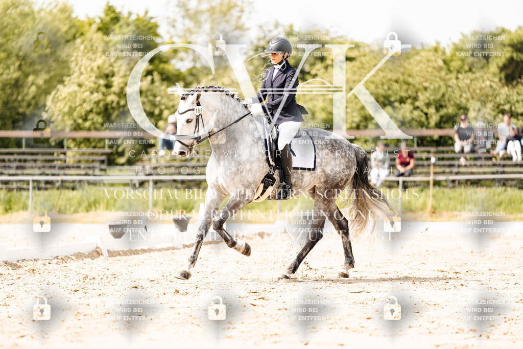 CK901607 | Turnierfotografie Pferdefotografie Trier Rheinland-Pfalz Pferdesport Reitsport Tierfotografie Sportfotografie Pferdevideo Pferdevideografie Equestrianvideography equestrianphotography  - Realisiert mit Pictrs.com