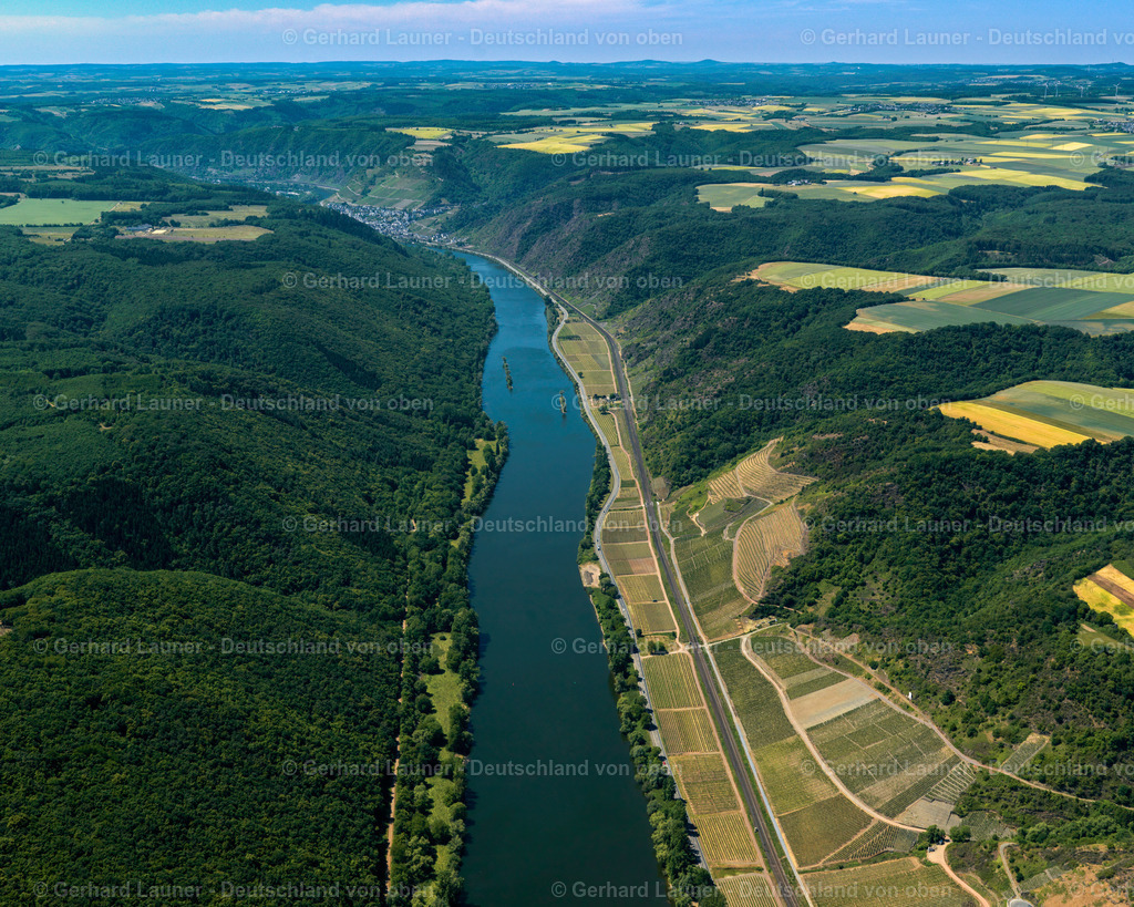 3114589 | Weinberge und Mosel bei Pommern