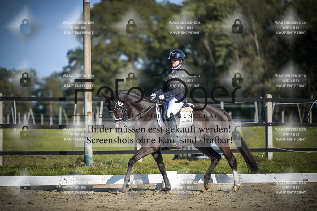 DOS_3124 | Entdecke hochwertige Reitturnierfotos von Foto Oger. Professionell, emotional und authentisch – jetzt Lieblingsmomente im Shop bestellen.Deutschlandweite Turnierfotografie. - Realisiert mit Pictrs.com