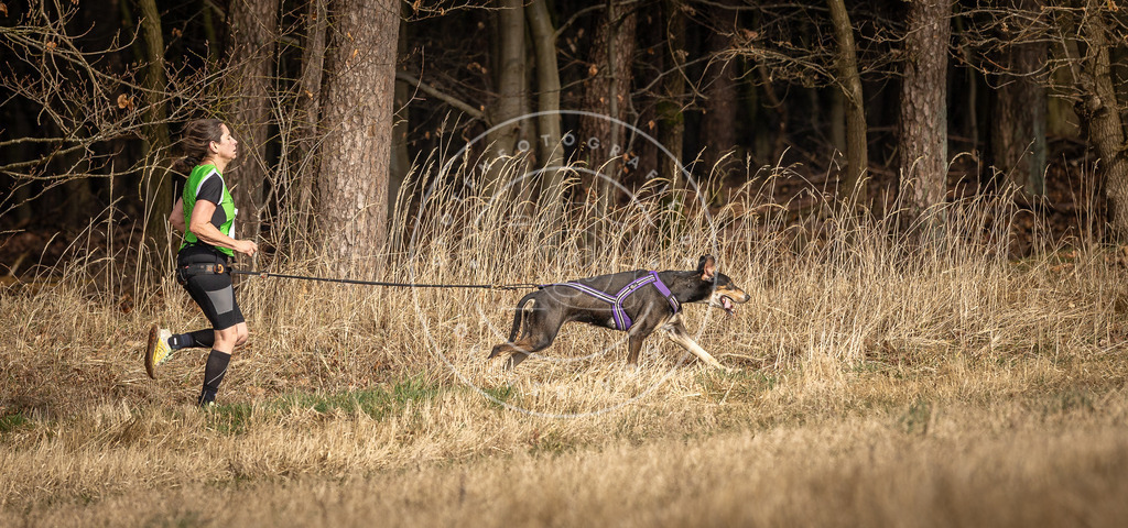 DV3A3904 | Hundefotografie, Tierfotograf, Pfotenfotografie, Fotoshooting Hund, Hunde Portrait, Hundesport, Hundeportraits, Heideshooting, Hunde, Sportfotograf, Hundefotograf, Turnierhundsport, THS,  - Realisiert mit Pictrs.com