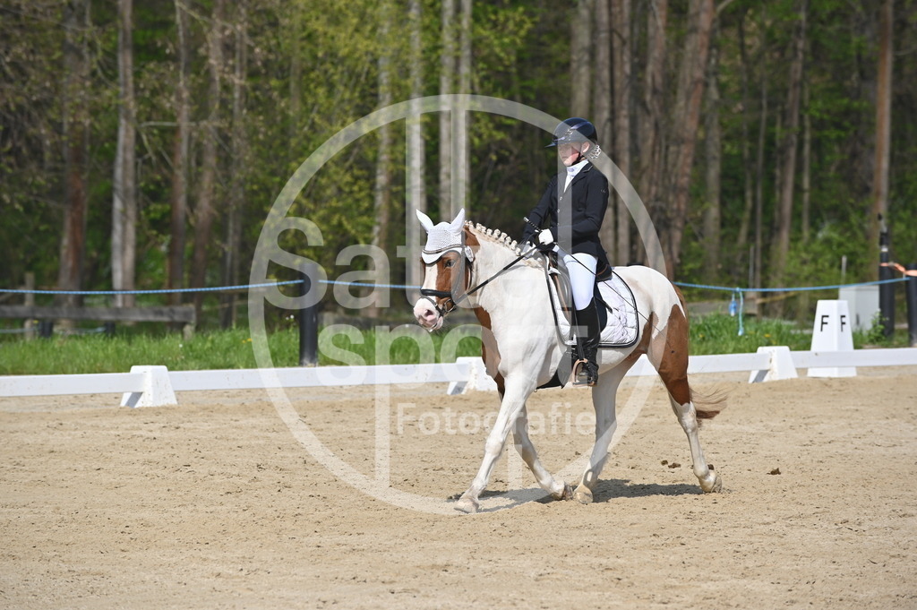 DSC_0987 | sattelsport - Realisiert mit Pictrs.com