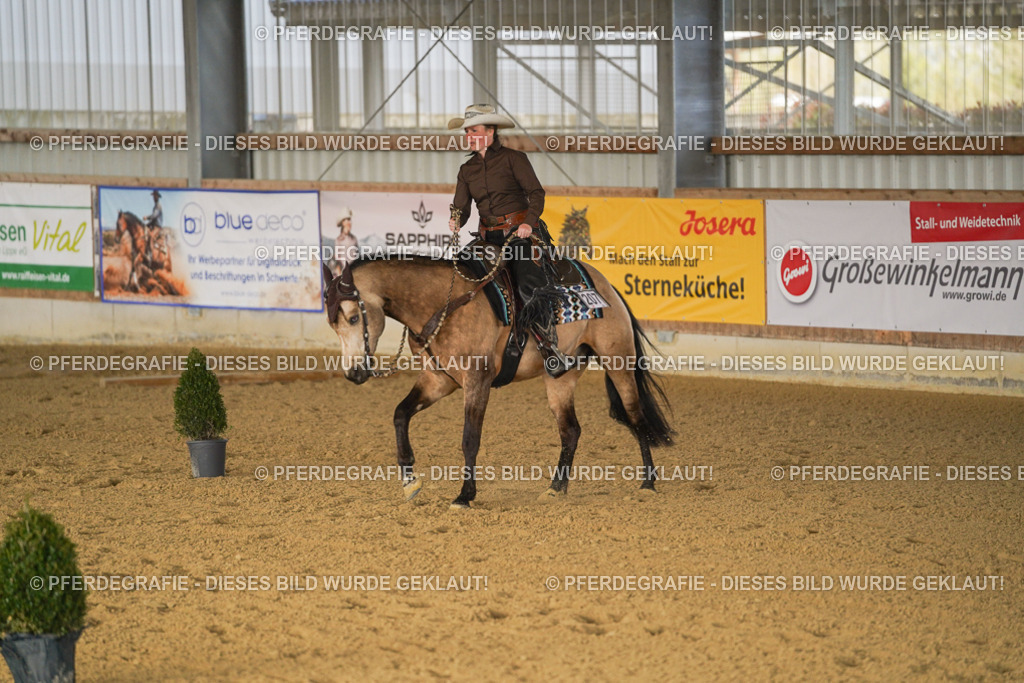 DSC01778 | Pferdegrafie