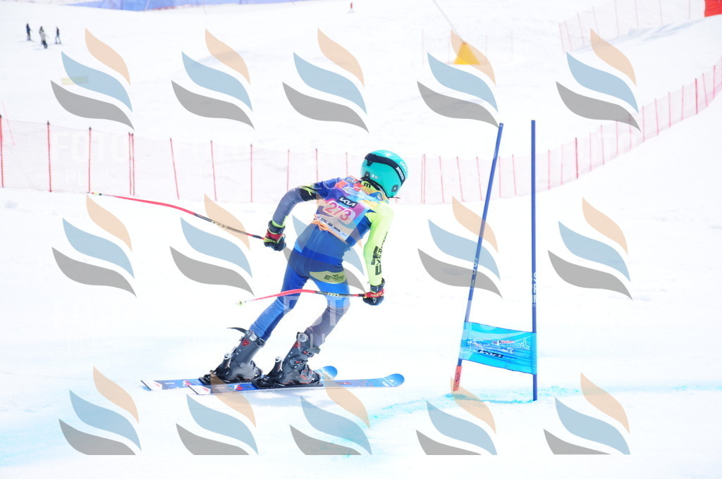 DSC_6445 | holidayphoto