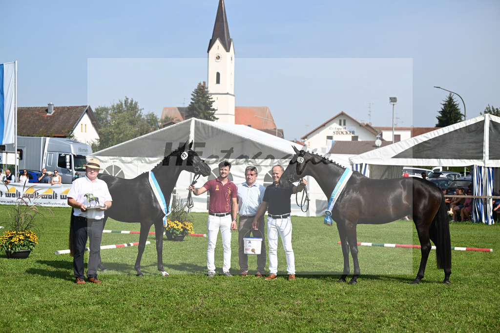 Kat-Nr. 12 Black Besinda H.S._Sommer_Kat-Nr. 13 Sunrise_Hoffmann_34240282 | hf-fotografie - Realisiert mit Pictrs.com