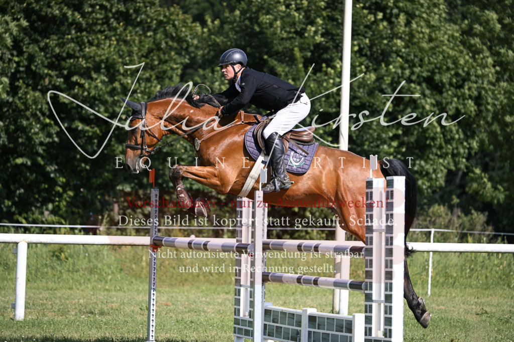 DSC_1085 | Pferde- und Turnierfotografie in Westsachsen. Pferdeportraits, Auftragszeichnungen und intuitive Kunst.