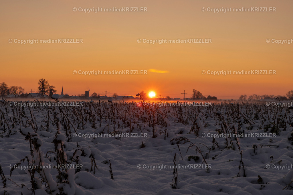 _J3A9540 | medienkrizzler - Realisiert mit Pictrs.com