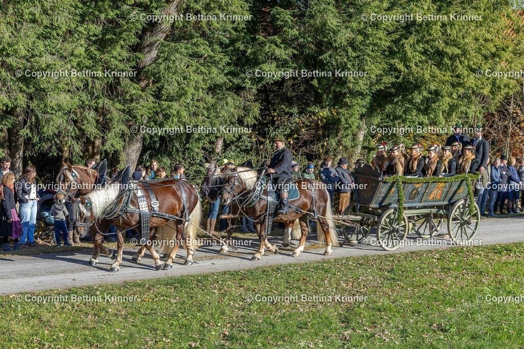 LBT25-564 | foto-bettina-krinner - Realisiert mit Pictrs.com