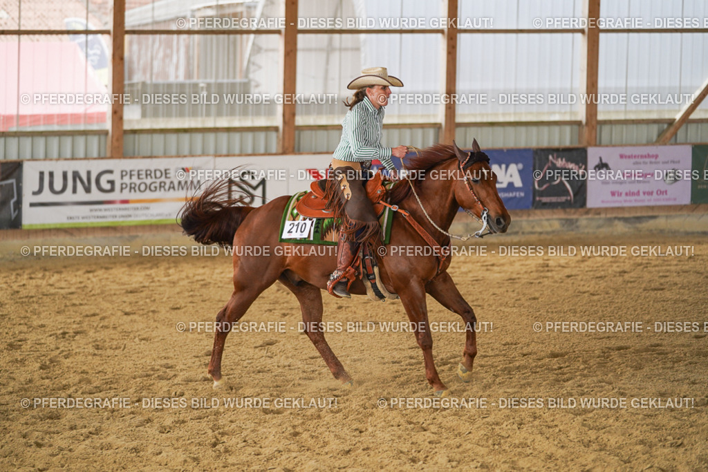 DSC05039 | Pferdegrafie