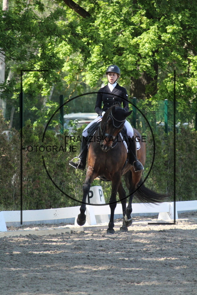 IMG_4951 | franziskalange - Realisiert mit Pictrs.com