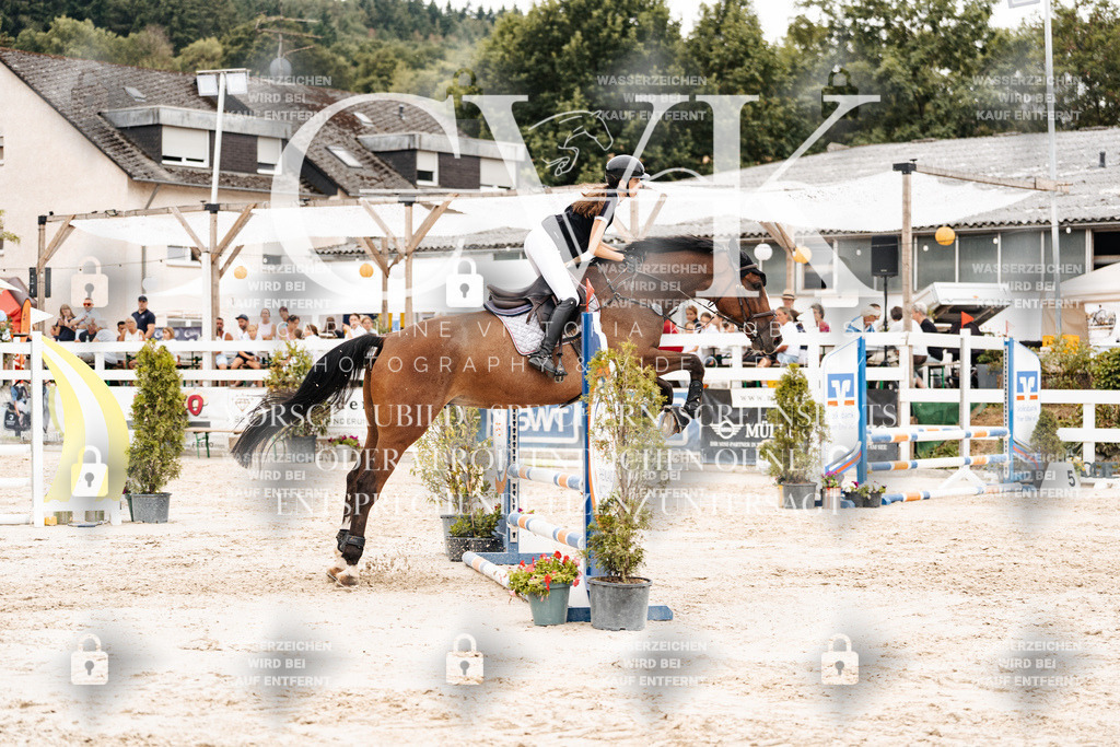 CK908424 | Turnierfotografie Pferdefotografie Trier Rheinland-Pfalz Pferdesport Reitsport Tierfotografie Sportfotografie Pferdevideo Pferdevideografie Equestrianvideography equestrianphotography  - Realisiert mit Pictrs.com