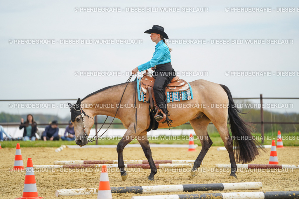 DSC03428 | Pferdegrafie