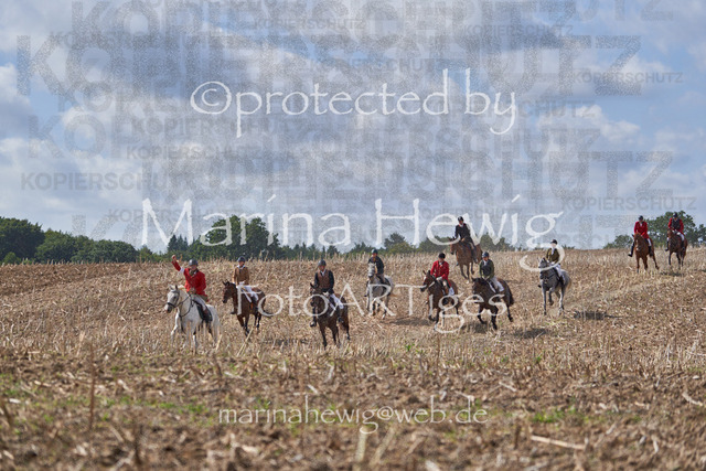 _MCH8028_Marina Hewig | Fotografie, FotoArt, PferdesportArt, Pferdesportfotografie, Landschaftsfotografie, Reisefotografie, Reise, Pferde - Realisiert mit Pictrs.com