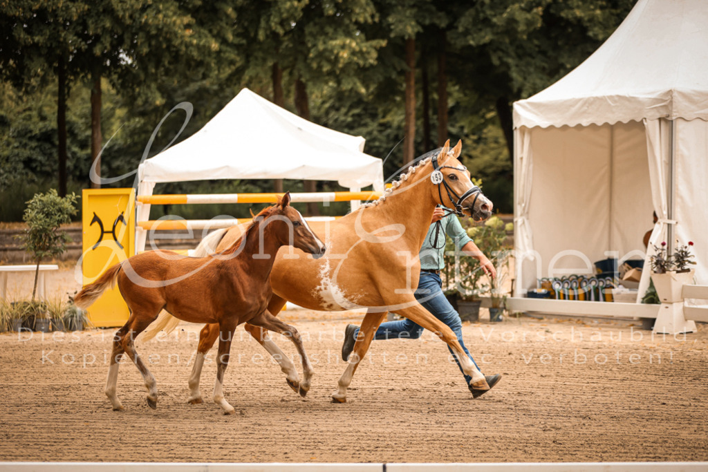 07.So00057 | Leoni Ertmer Photography - Realisiert mit Pictrs.com