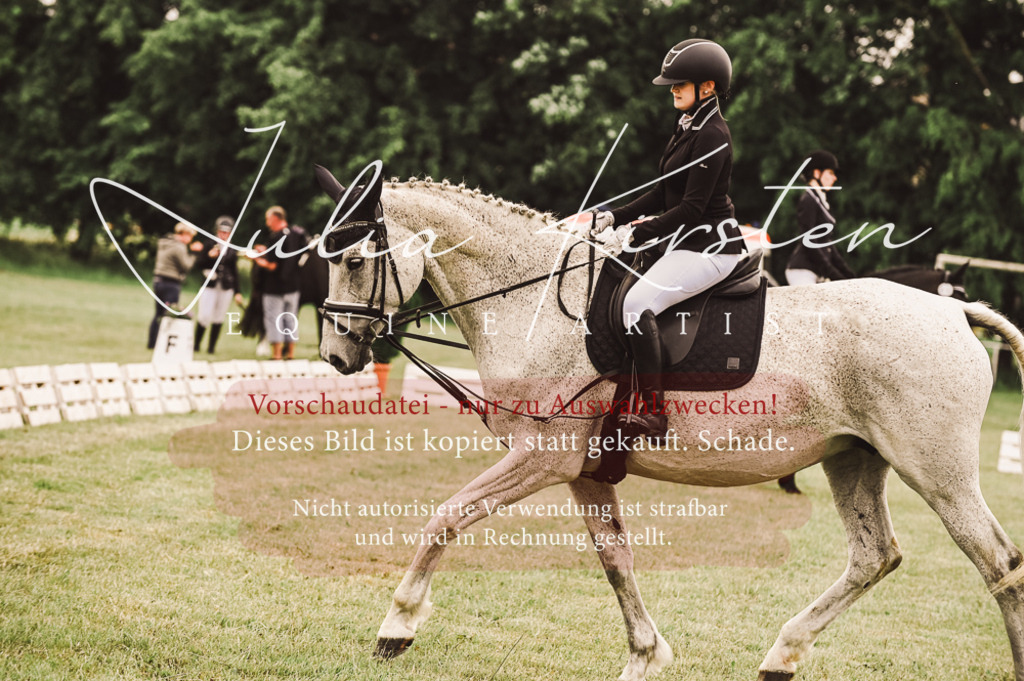 DSC_4974 | Pferde- und Turnierfotografie in Westsachsen. Pferdeportraits, Auftragszeichnungen und intuitive Kunst.