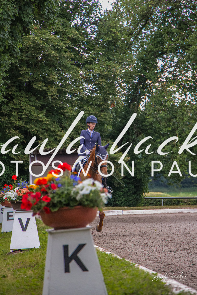 IMG_8900 | Erleben Sie dynamische Sport- und emotionale Tierfotografie in Süddeutschland mit Fotos von Paula. Spezialisiert auf Pferde- und Hundefotografie sowie Sportevents. Kontaktieren Sie mich für einzigartige und ausdrucksstarke Bilder Ihrer besonderen Momente.