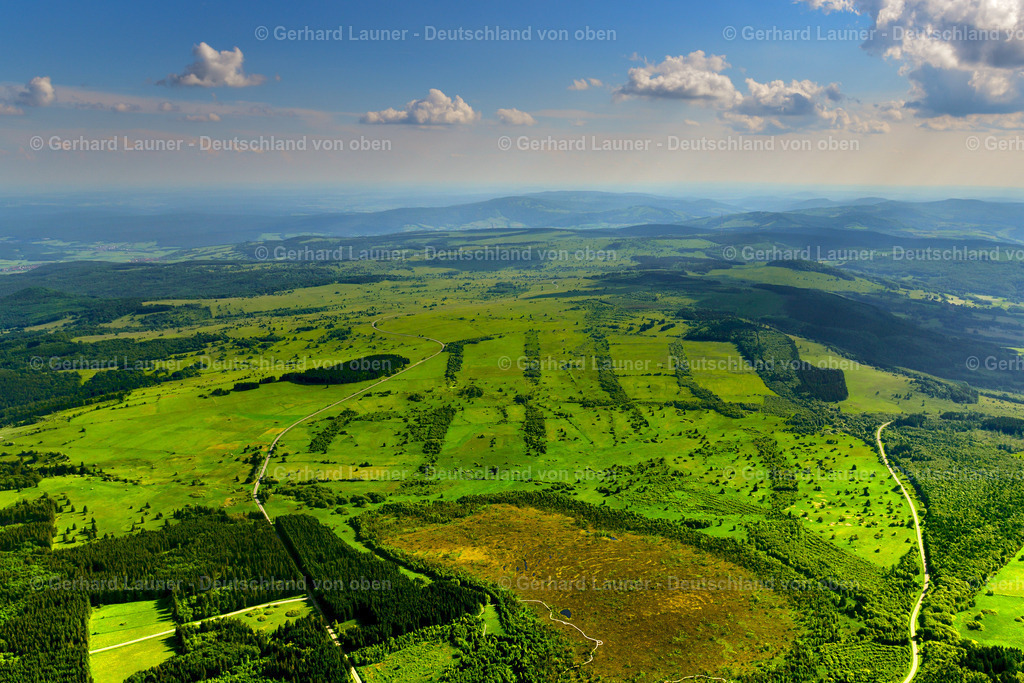 3620091 | Schwarzes Moor, Hochröhn
