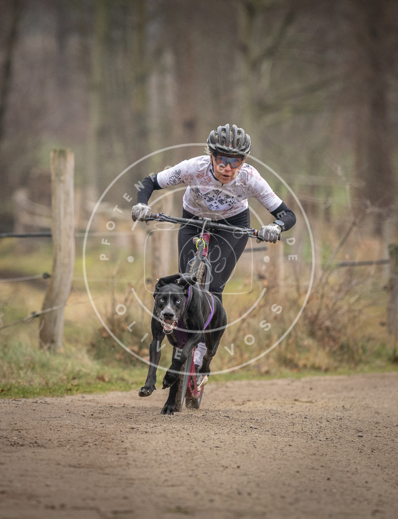 Pfotenfotografie_DV3A2294 | Hundefotografie, Tierfotograf, Pfotenfotografie, Fotoshooting Hund, Hunde Portrait, Hundesport, Hundeportraits, Heideshooting, Hunde, Sportfotograf, Hundefotograf, Turnierhundsport, THS,  - Realisiert mit Pictrs.com