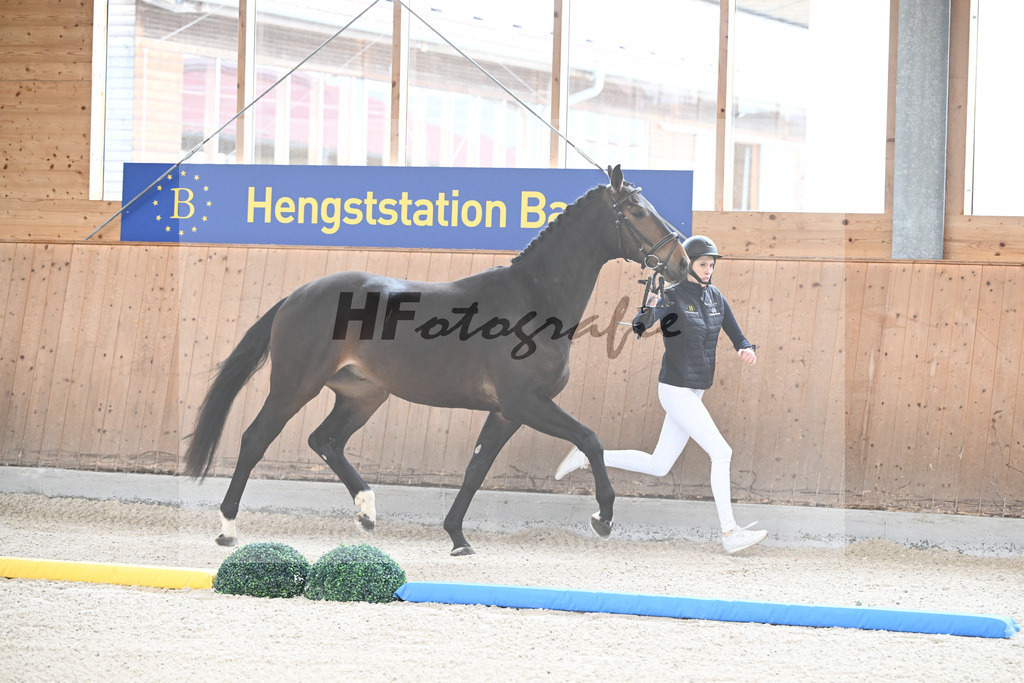 Kat-Nr. 85 Fideroy v. Fidertanz_Gossner_7241564 | hf-fotografie - Realizzato con Pictrs.com