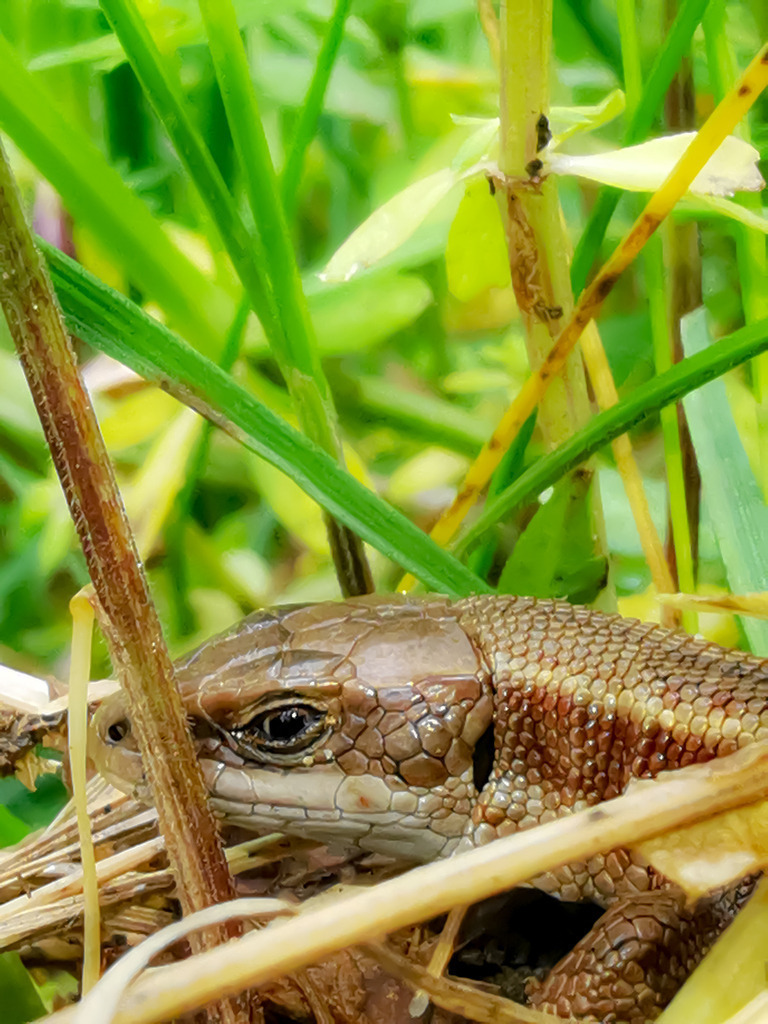 PSX_20230517_225508 | mtkfoto_ - Realisiert mit Pictrs.com