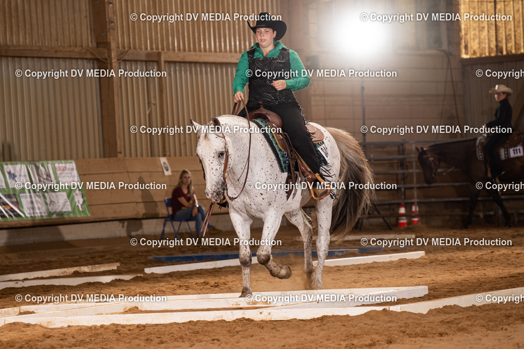 NID00560 | dv-media-shop - Realisiert mit Pictrs.com