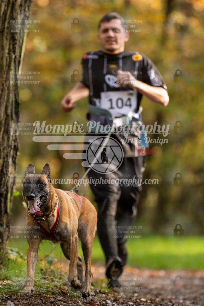 MompixPhotography_Bischwiller23_Canicross-67 | PayLife
