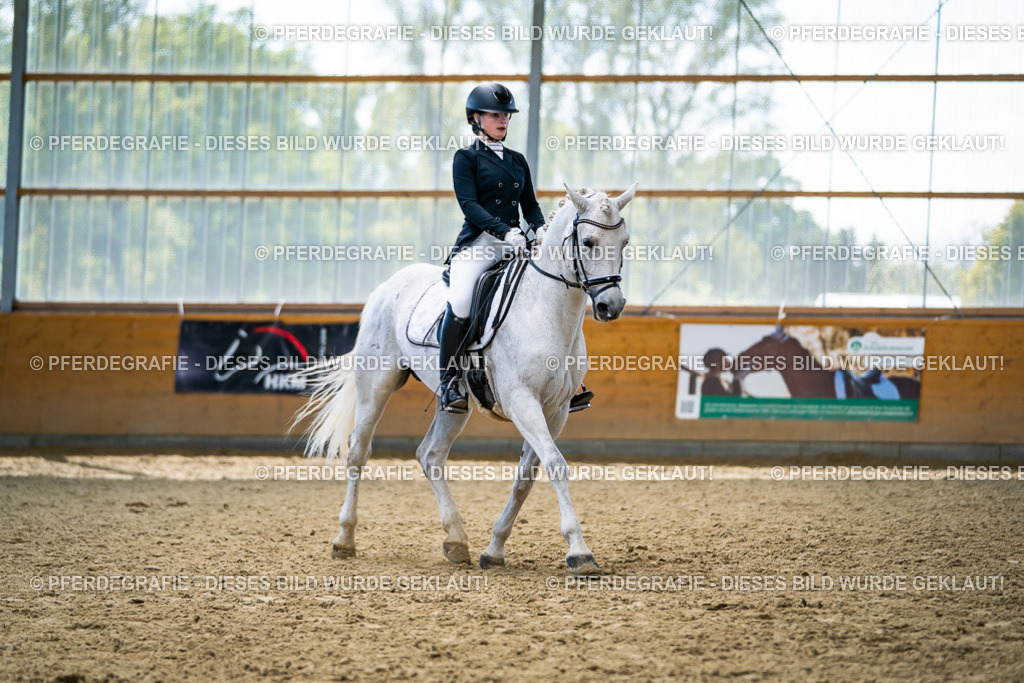 DSC05567 | Pferdegrafie