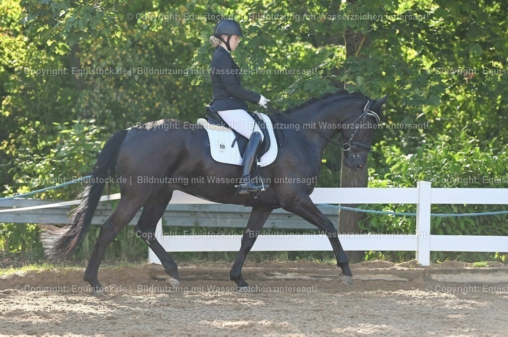 20230715_06_Dressurpferdeprfg. Kl.A_0082 | equistock