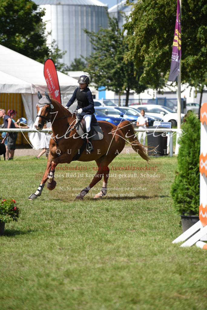 DSC_0087 | Pferde- und Turnierfotografie in Westsachsen. Pferdeportraits, Auftragszeichnungen und intuitive Kunst.