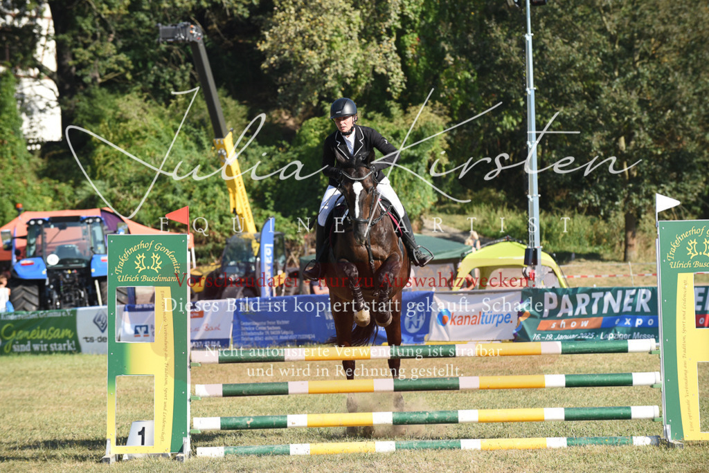 DSC_5376 | Pferde- und Turnierfotografie in Westsachsen. Pferdeportraits, Auftragszeichnungen und intuitive Kunst.