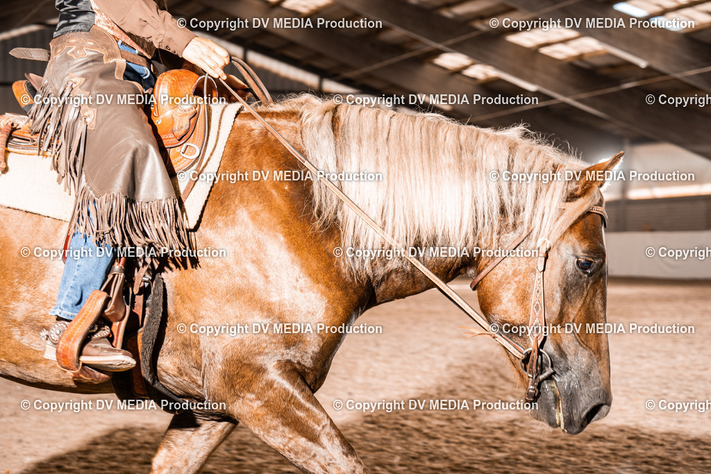 ZH100459 | dv-media-shop - Realisiert mit Pictrs.com