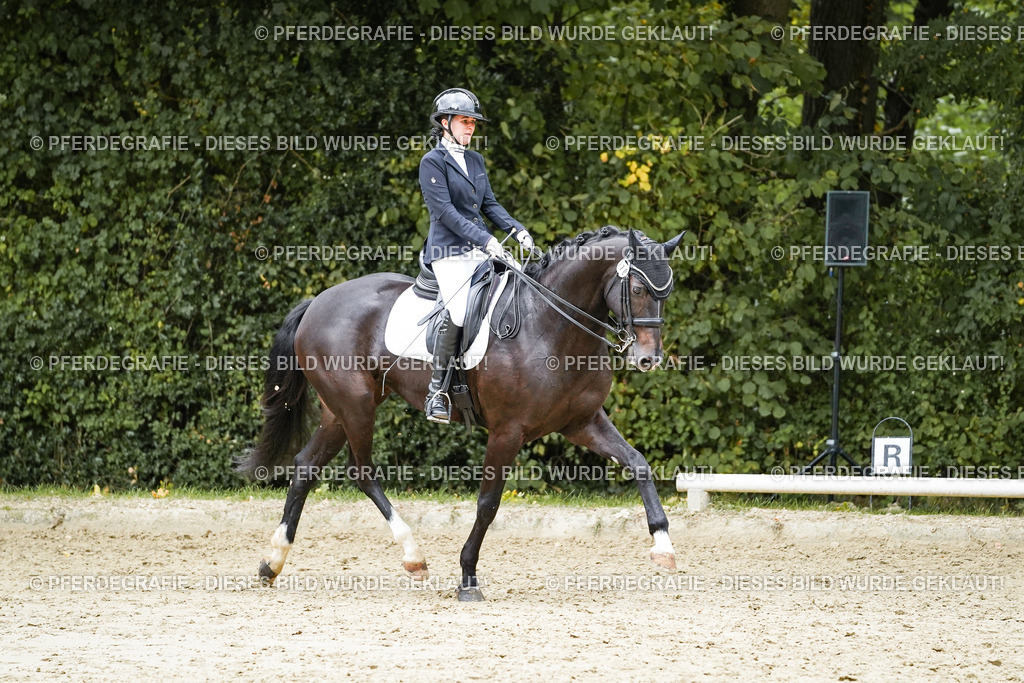 DSC07032 | Pferdegrafie