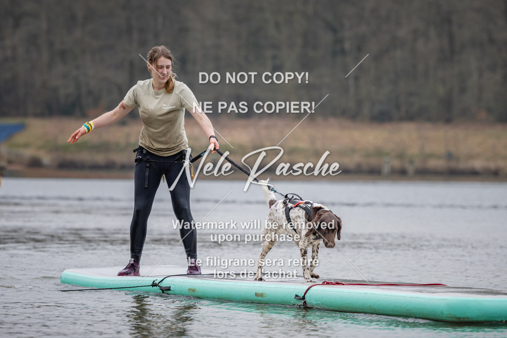 nelerasche_Hulsbeek_Sa1430-1515_647 | nelerasche