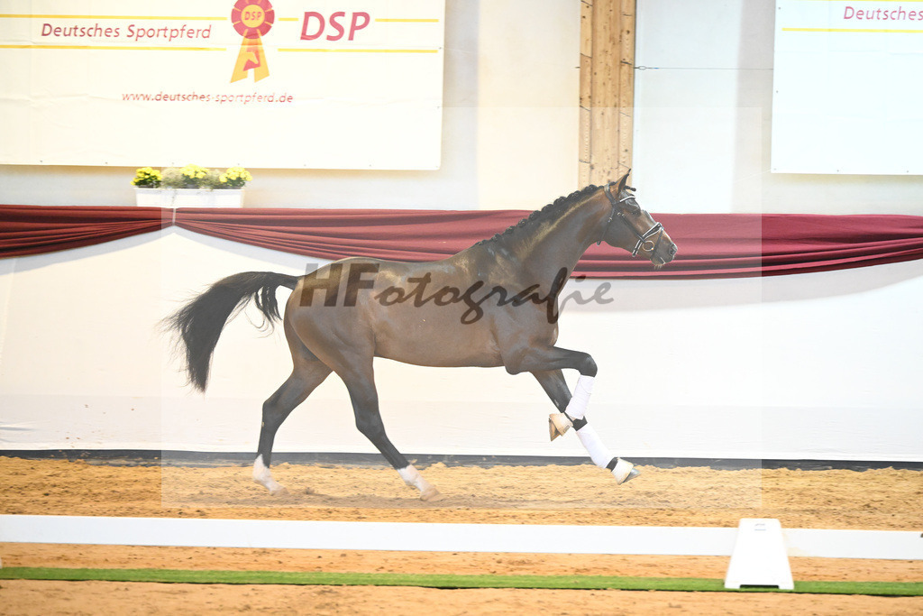 Kat-Nr. 59 v. Zalando_Kuntz_66222238 | hf-fotografie - Realisiert mit Pictrs.com