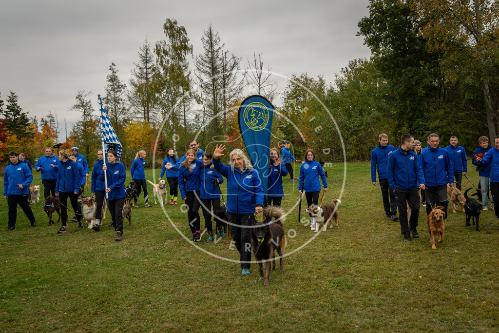 Pfotenfotografie_0L8A0339 | Hundefotografie, Tierfotograf, Pfotenfotografie, Fotoshooting Hund, Hunde Portrait, Hundesport, Hundeportraits, Heideshooting, Hunde, Sportfotograf, Hundefotograf, Turnierhundsport, THS,  - Realisiert mit Pictrs.com