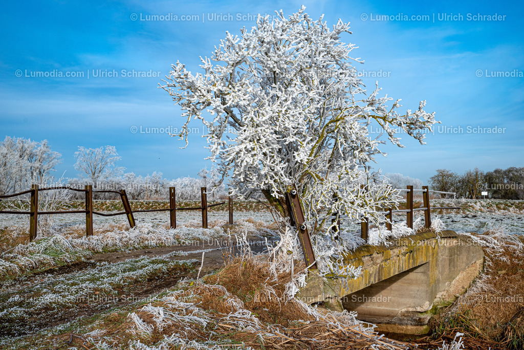 10049-13484 - Winterzauber im Großen Bruch | Stockfoto und Bilderpool mit Bildmaterial aus Deutschland, dem Harz, Halberstadt, Quedlinburg, Wernigerode und weltweit. Qualitativ hochwertige und professionelle Fotos anschauen und kaufen. - Realisiert mit Pictrs.com