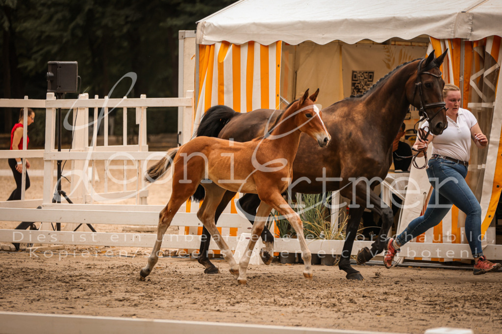 SaPA00238 | Leoni Ertmer Photography - Realisiert mit Pictrs.com