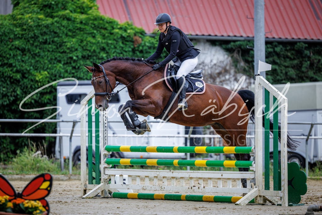 20260705-_3LI3658 | Tierfotografie Pferde, Hunde, Katzen, Haustiere.
Turnierfotografie Reitturniere, Reiten, Springreiten, Dressur in Hanau, dem Main-Kinzig-Kreis und dem Rhein-Main- Gebiet um Frankfurt