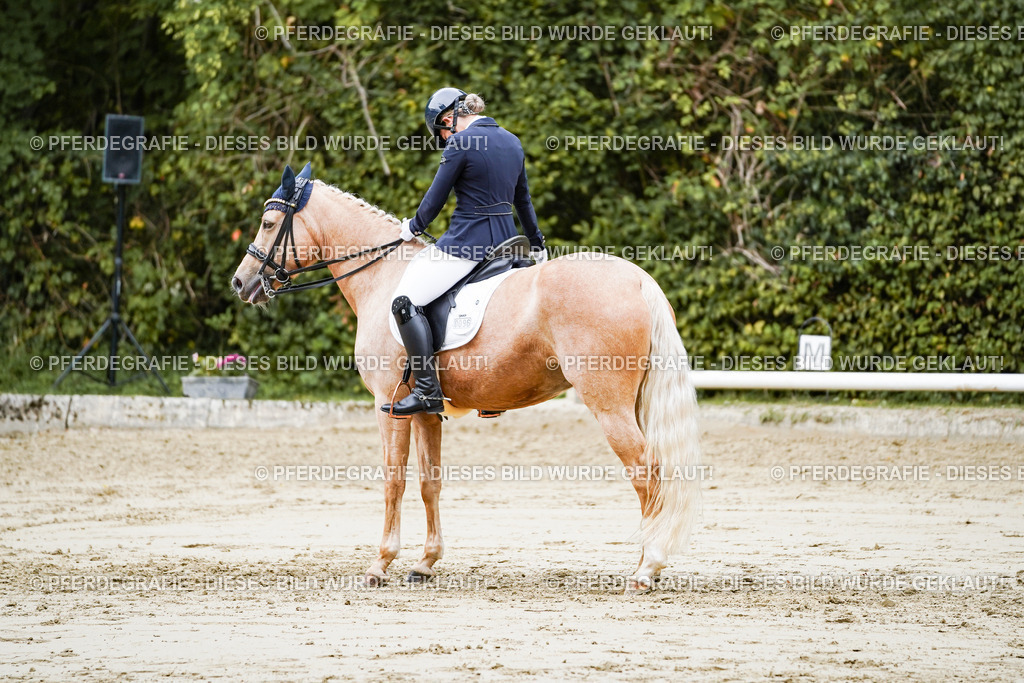 DSC04903 | Pferdegrafie